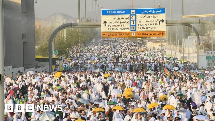 Saudi Arabia Hajj deaths