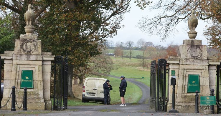 Ballyfin Demesne