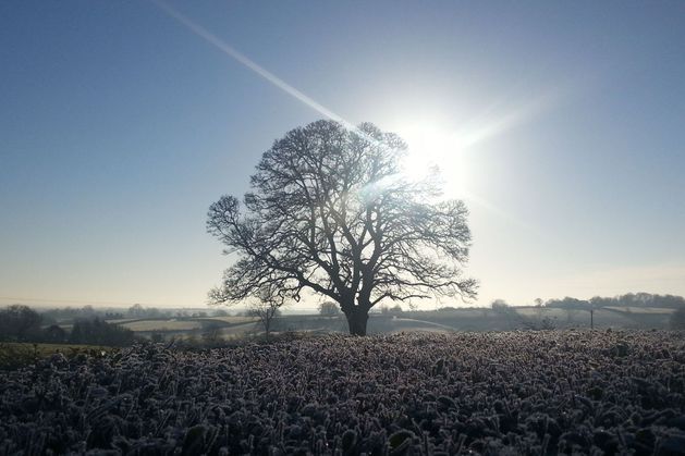 Snow warning