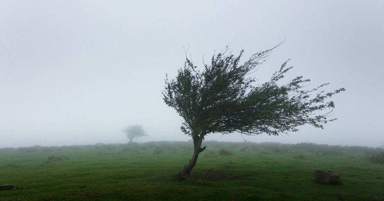 Wind Warning