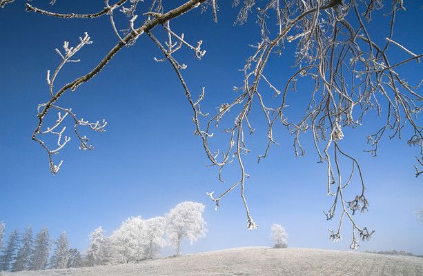 Ireland weather warnings snow Ice wind