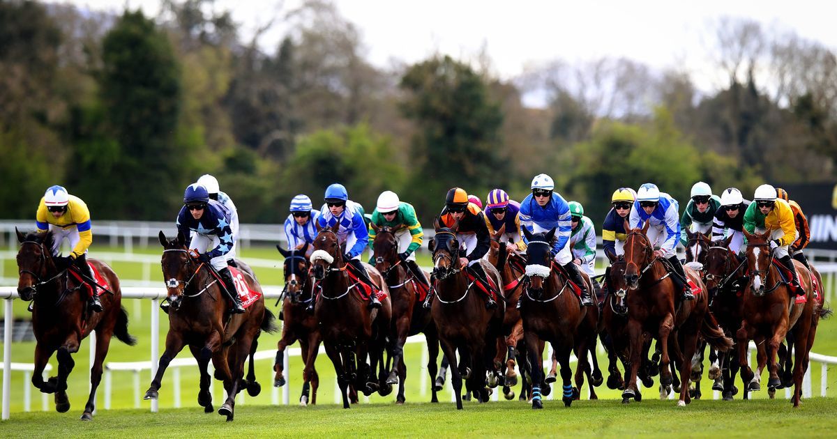 Punchestown Festival 2024 day 3 full race card and tips list of